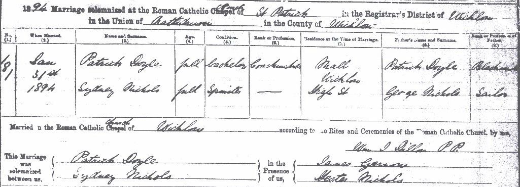 Irish birth and death records
